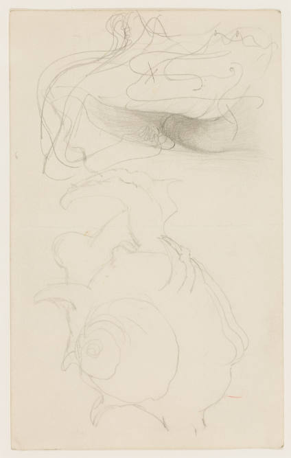 Transformation Drawing: Reclining Figure and Shell