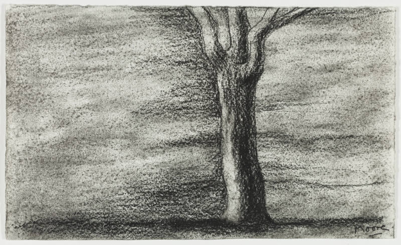 Lone Tree