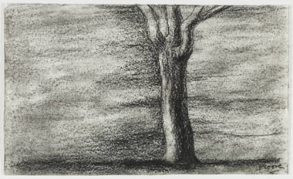 Lone Tree