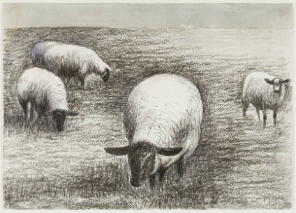 Five Sheep