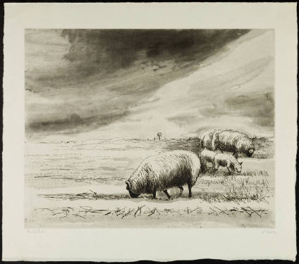 Sheep in Landscape