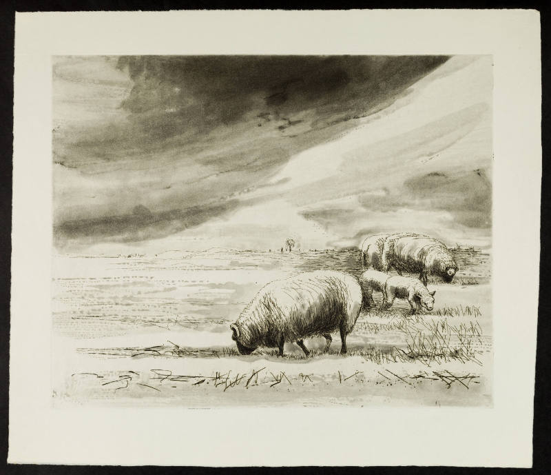 Sheep in Landscape