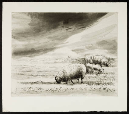 Sheep in Landscape