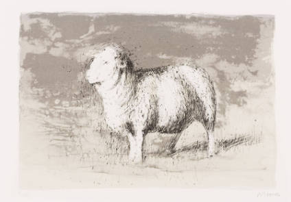 Sheep in Stormy Landscape