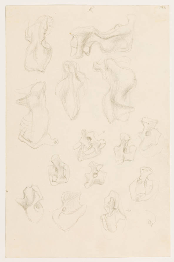 Bone Forms: Reclining Figures