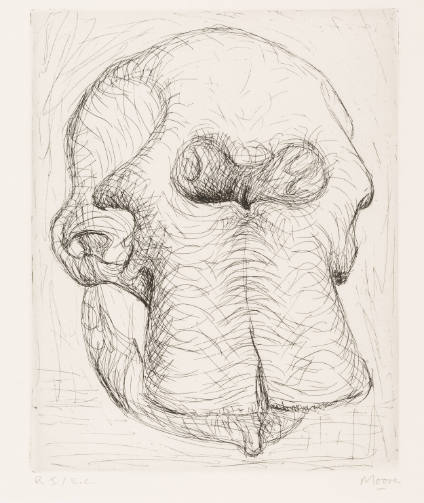 Elephant Skull, Plate I