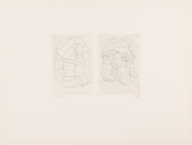 Elephant Skull, Plate XIII