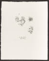 <i>Auden Poems, Moore Lithographs</i>, Portfolio of prints