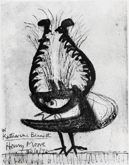 Lyre Bird