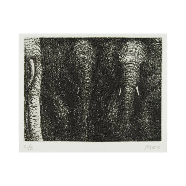 Elephants