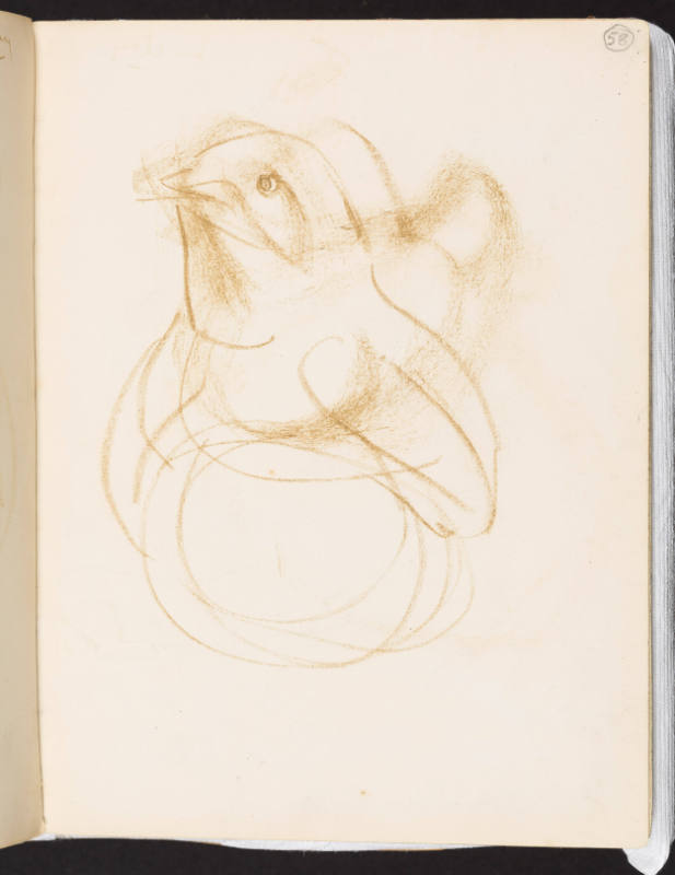 Study of a Fledgling