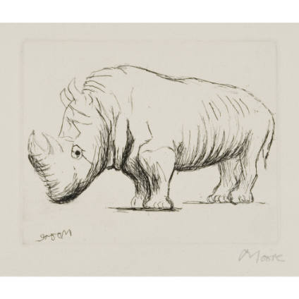 Rhinoceros