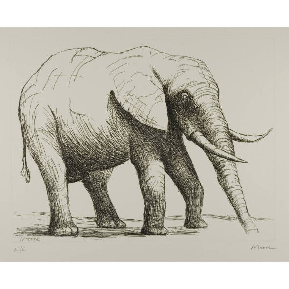 Elephant