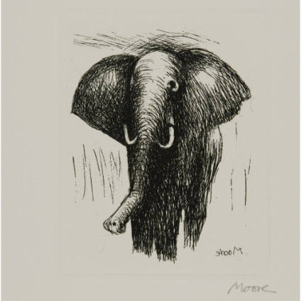 Elephant