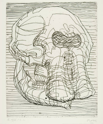 Elephant Skull, Plate XIV