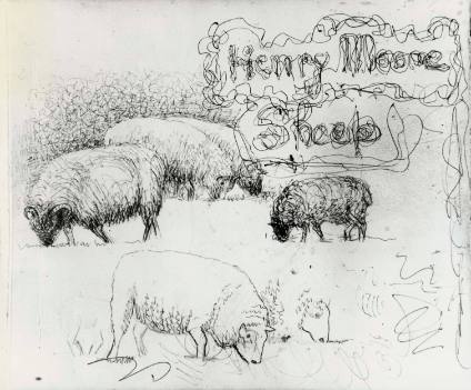 Sheep Sketchbook