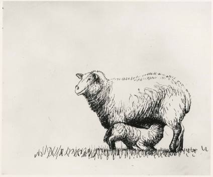 Sheep with Lamb VI