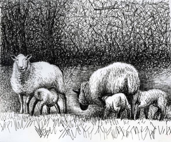 Sheep with Lambs at the Edge of a Wood