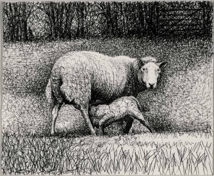 Sheep with Lamb VII