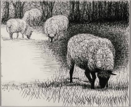 Four Sheep Grazing