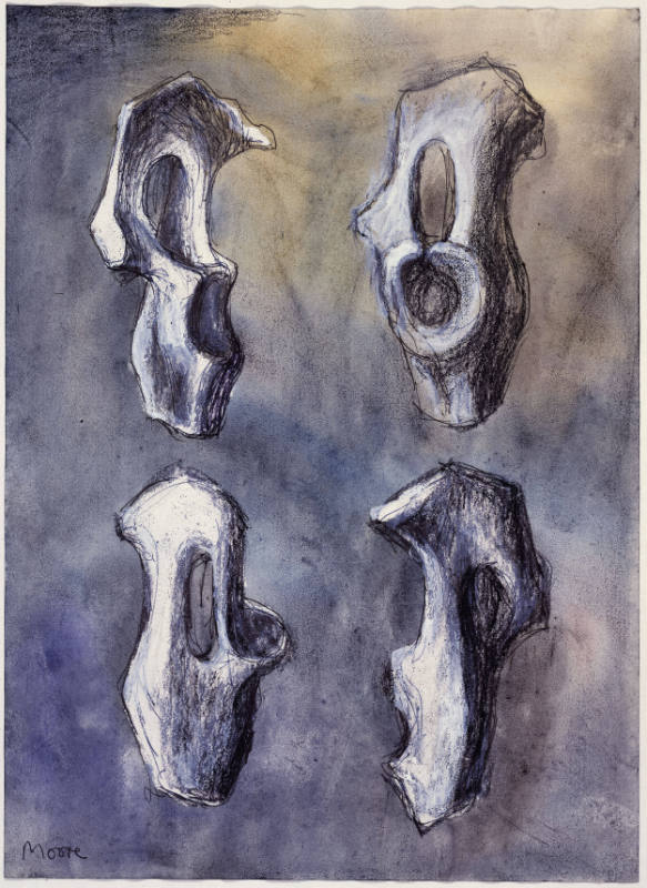 Bone Forms