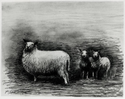Proud Sheep with Two Lambs
