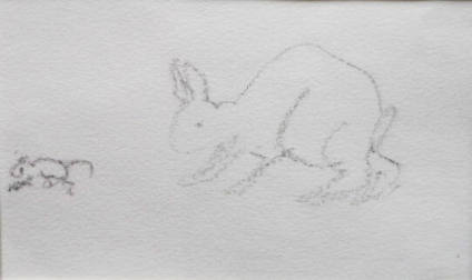 Rabbit and Mouse