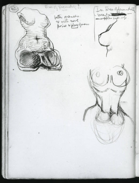 Studies of Female Torso