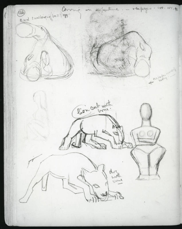 Miscellaneous Studies