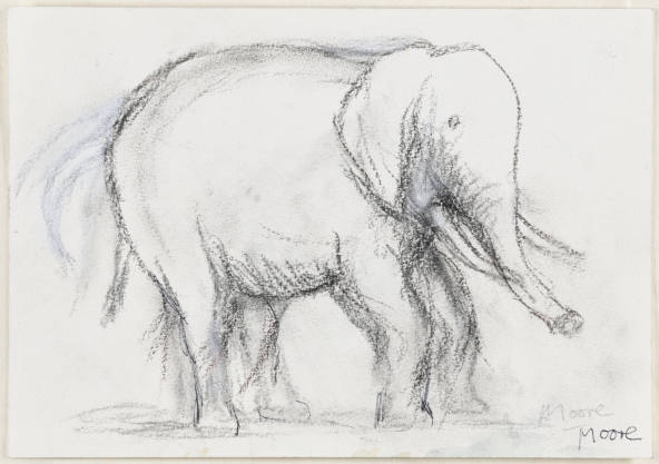 Elephant