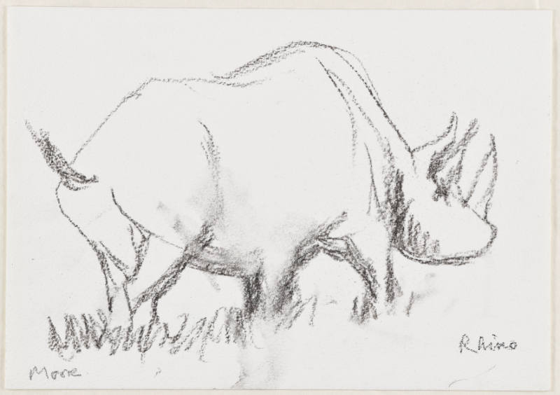 Rhinoceros