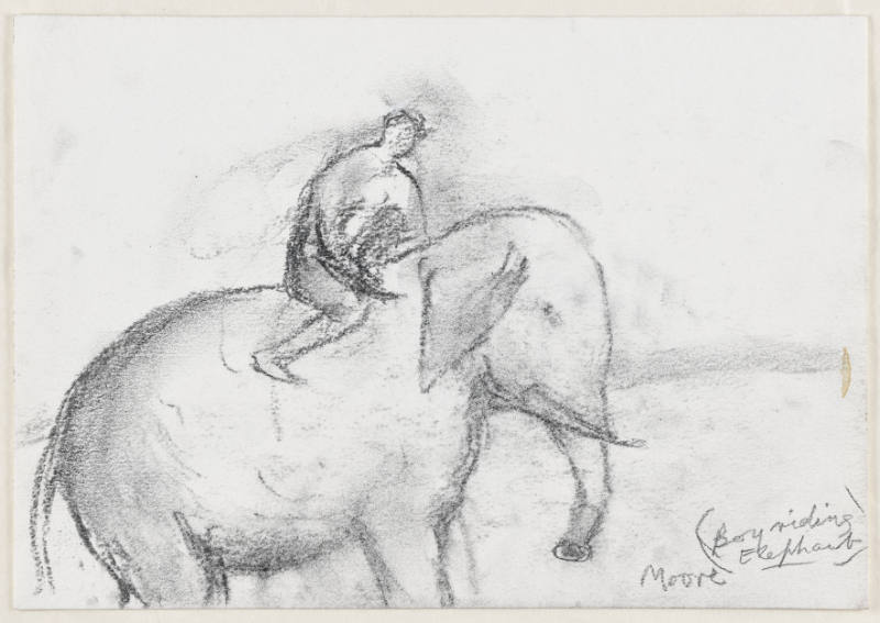 Boy Riding Elephant