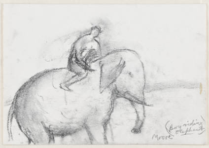Boy Riding Elephant
