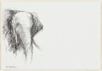 Elephant's Head
