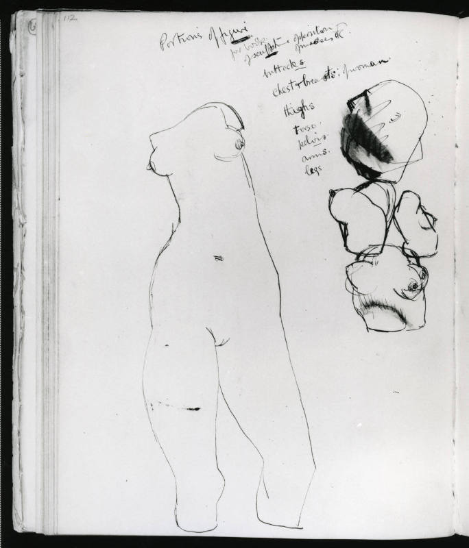 Torso and Other Studies