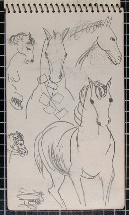 Horse Studies