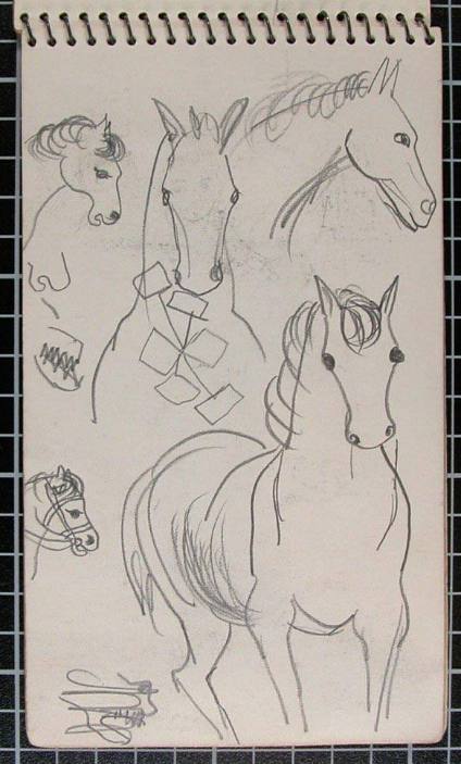 Horse Studies